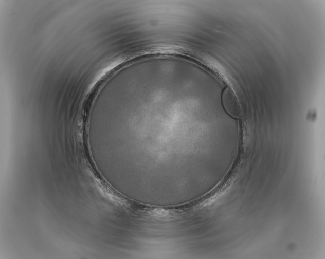 X0000091460827200709061755