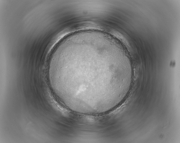 X0000091460828200709061755