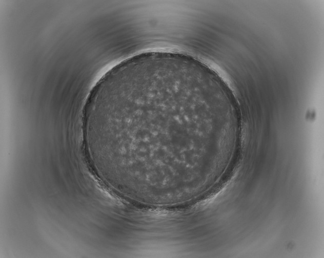 X0000091460829200709061755