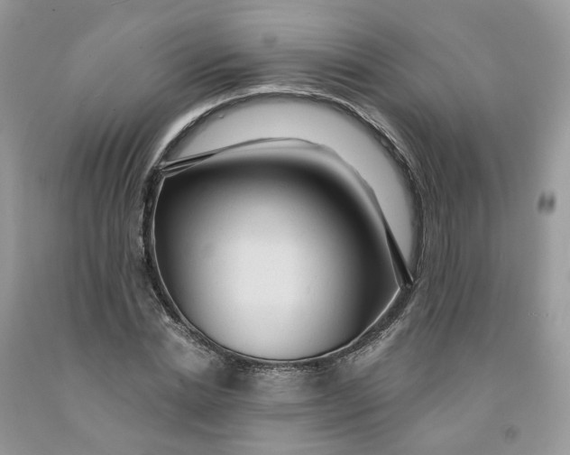 X0000091460830200709061755