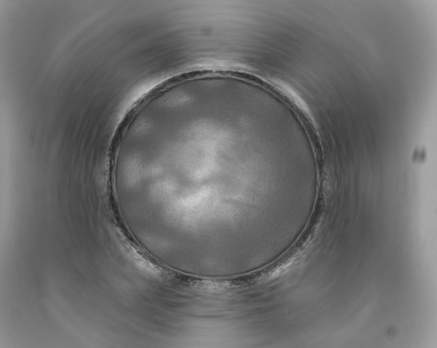 X0000091460831200709061755