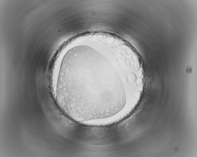 X0000091460832200709061755