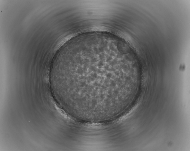 X0000091460833200709061755