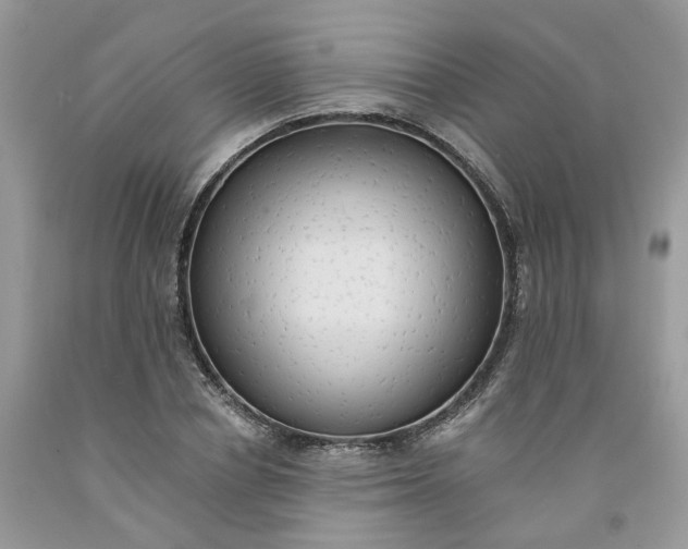 X0000091460834200709061755