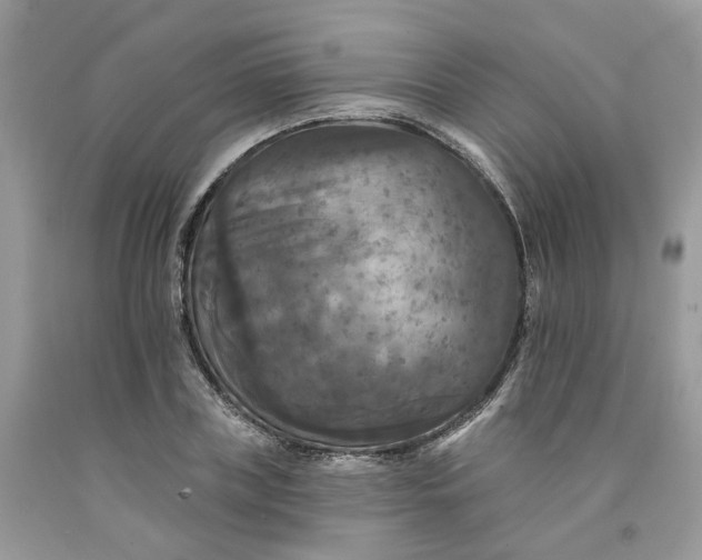 X0000091460835200709061755