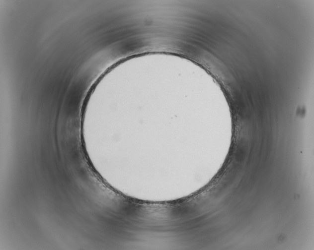 X0000091460836200709061755