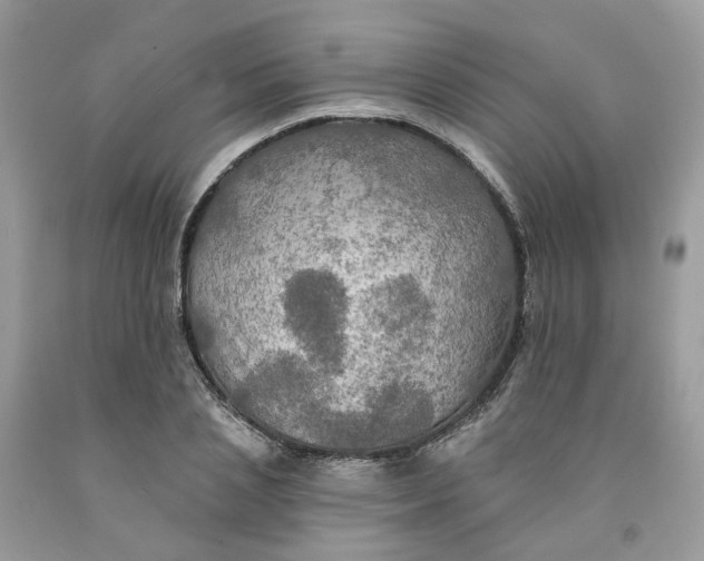 X0000091460837200709061755