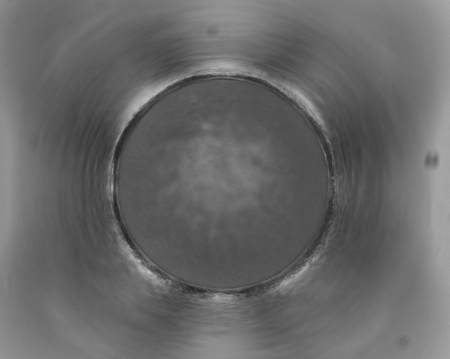 X0000091460839200709061755