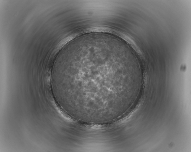 X0000091460841200709061755