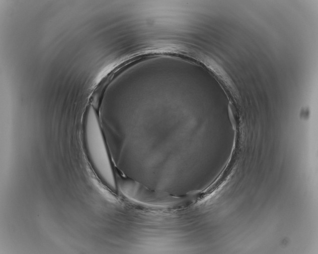 X0000091460842200709061755