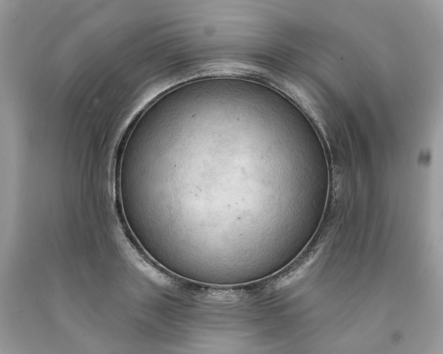 X0000091460843200709061755