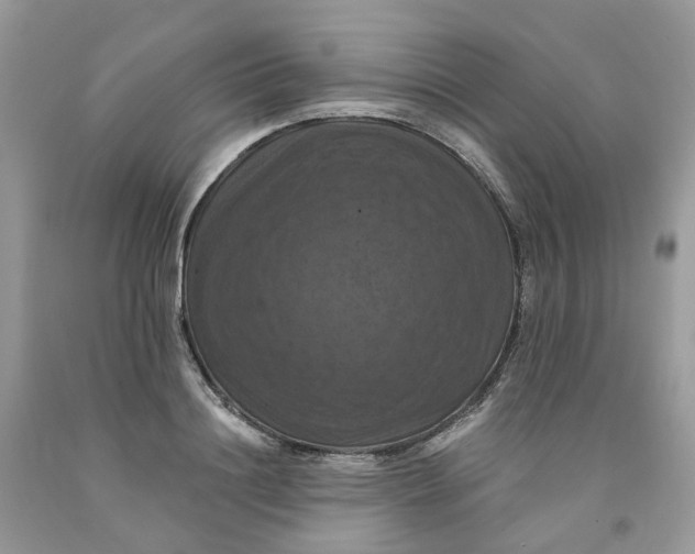 X0000091460844200709061755