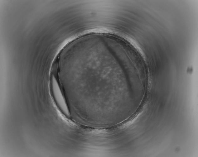 X0000091460845200709061755