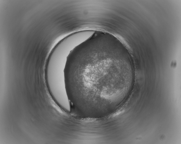 X0000091460846200709061755