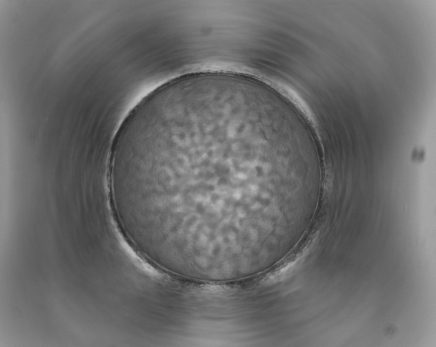 X0000091460847200709061755