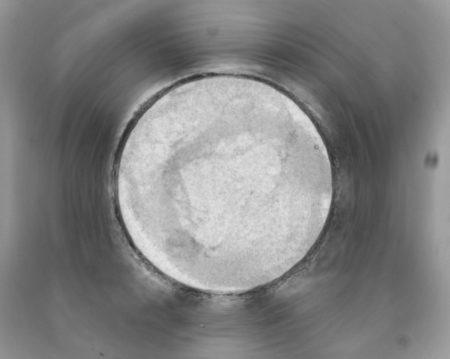 X0000091460848200709061755