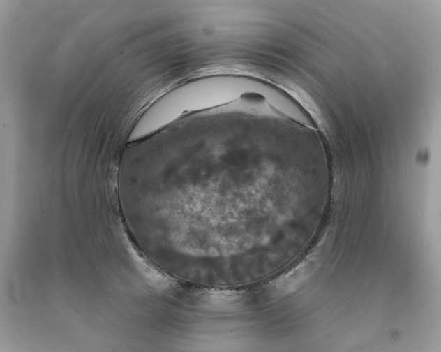 X0000091460849200709061755