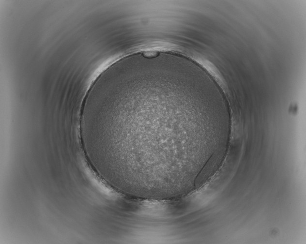 X0000091460850200709061755