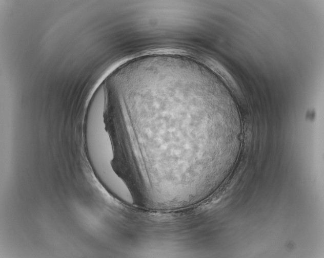 X0000091460852200709061755