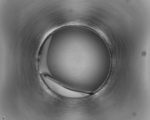 X0000091460854200709061755