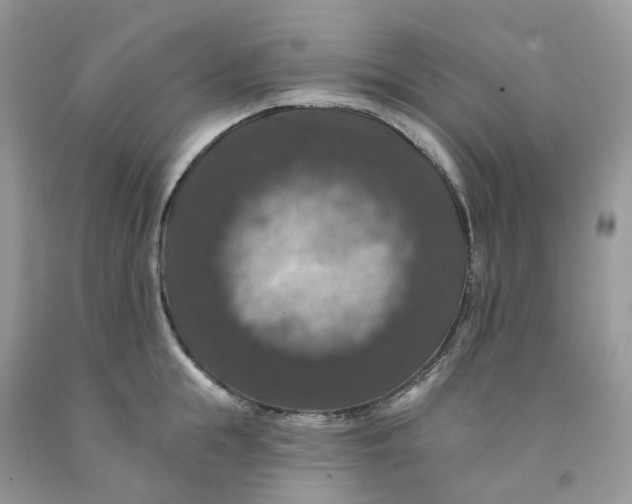 X0000091460855200709061755