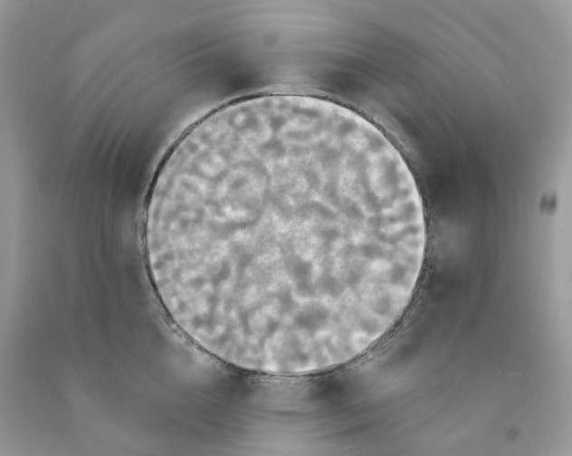 X0000091460856200709061755