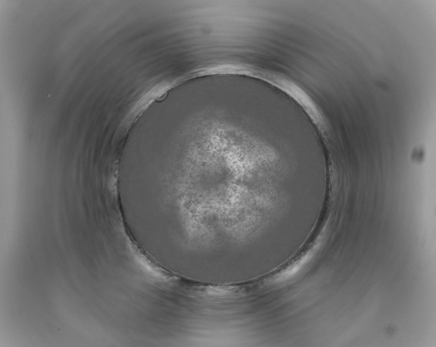 X0000091460857200709061755