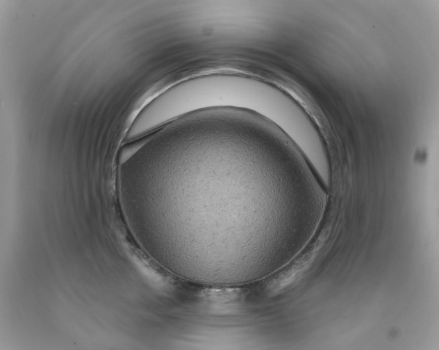 X0000091460858200709061755