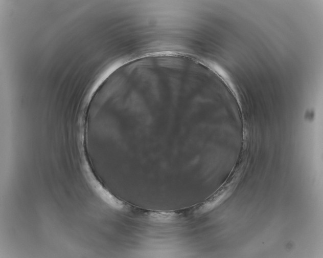 X0000091460859200709061755