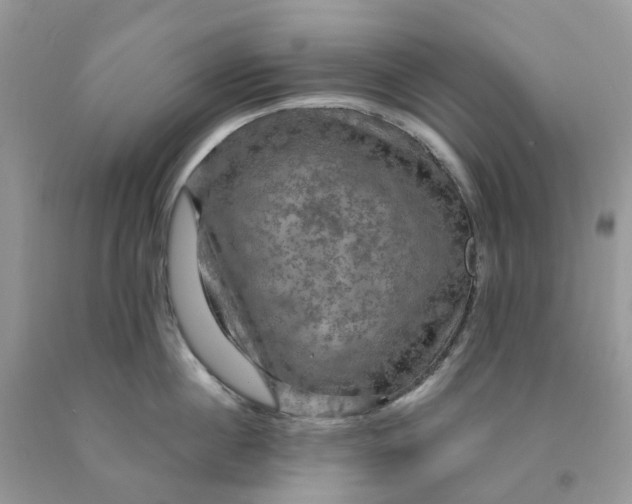 X0000091460860200709061755