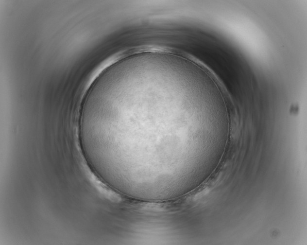 X0000091460861200709061755