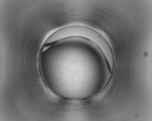 X0000091460862200709061755