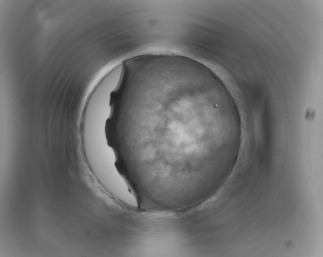 X0000091460864200709061755