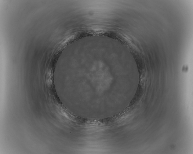 X0000091460866200709061754