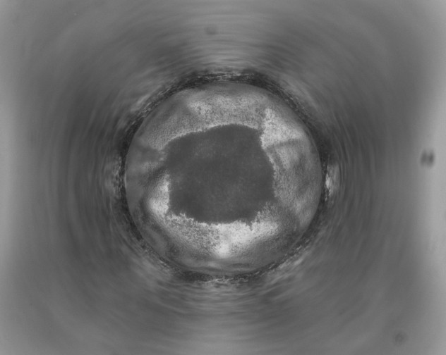 X0000091460867200709061754