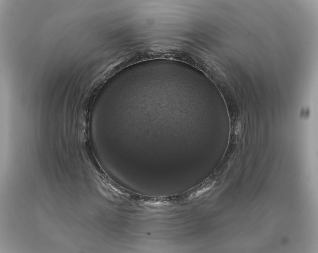 X0000091460868200709061754