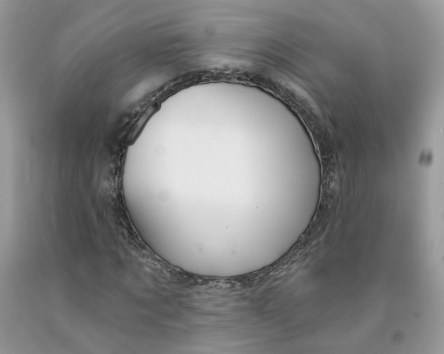 X0000091460869200709061754