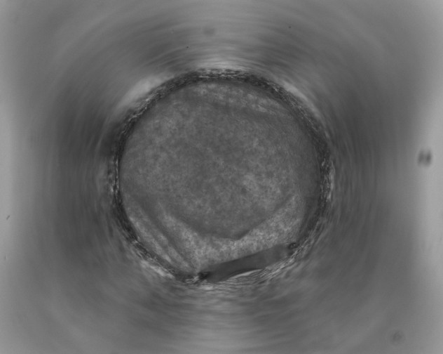 X0000091460870200709061754