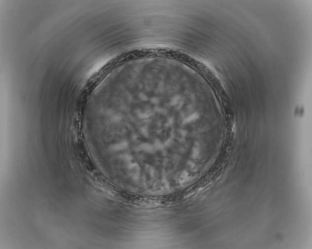 X0000091460871200709061754