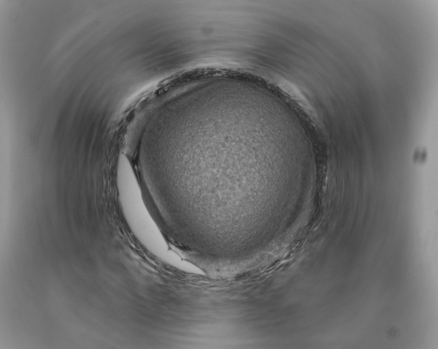 X0000091460872200709061754