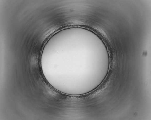 X0000091460873200709061754