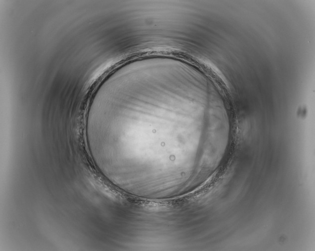 X0000091460874200709061754