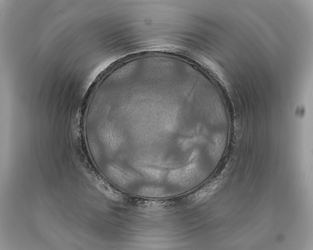 X0000091460875200709061754