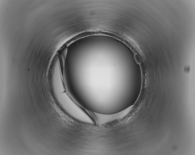 X0000091460876200709061754