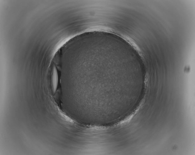 X0000091460877200709061754