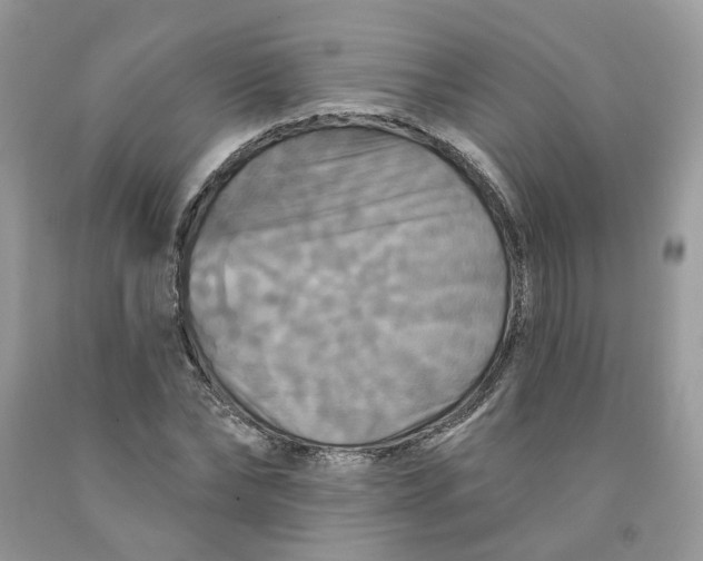 X0000091460878200709061754