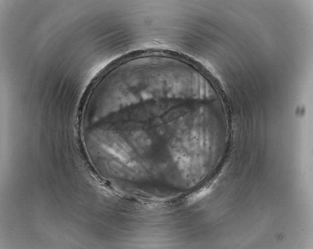 X0000091460879200709061754