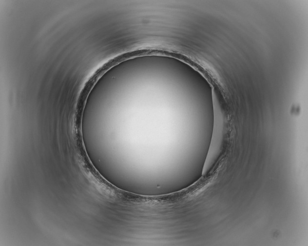 X0000091460880200709061754