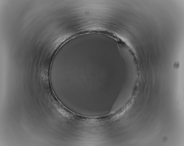 X0000091460881200709061754