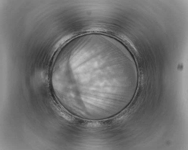 X0000091460882200709061754